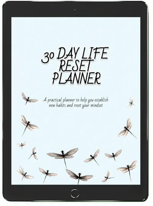 30 Day Life Reset Planner product image