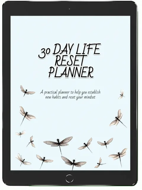 30 Day Life Reset Planner product image