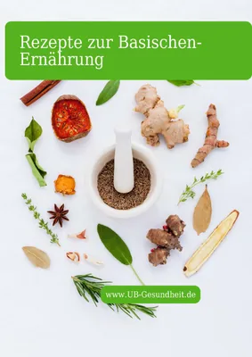 Rezepte zur Basischen Ernaehrung alkaline recipes cover
