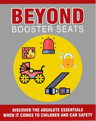 Beyond Booster Seats product image