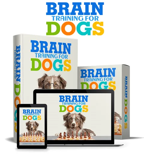 Brain Training for Dogs online course by Adrienne Farricelli