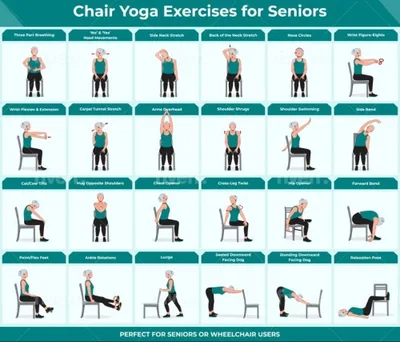 Chair Yoga Exercise for Beginners Bundle (PDF) product image
