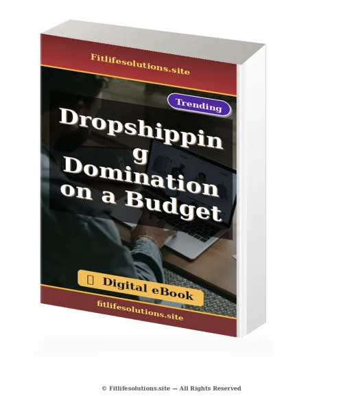 Dropshipping Domination on a Budget product image