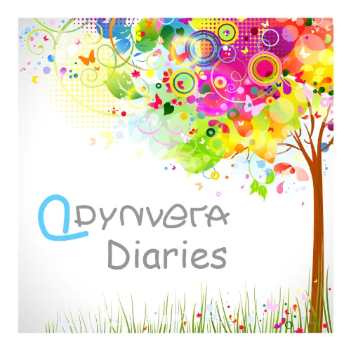 Dynvera Diaries eDiary Bundle (6 PDF Diaries) product image