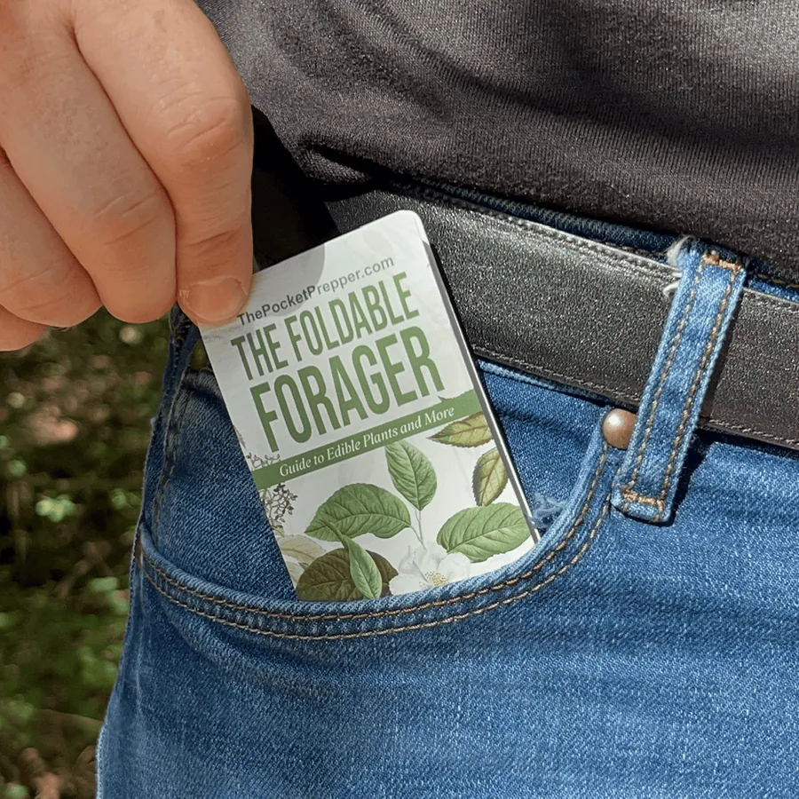 The Foldable Forager foraging guide product image