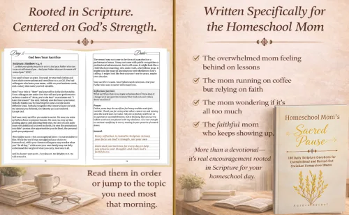 Homeschool Mom's Sacred Pause: 100-Day Devotional product image