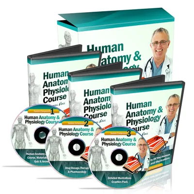 Human Anatomy and Physiology Course materials