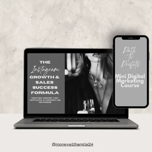 The Instagram Growth Blueprint + The Pathway to Profits product image