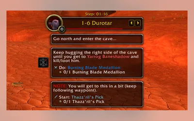 Joana's Guides in-game leveling guide screenshot from the seller's page