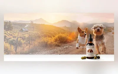 Product image from the seller's page