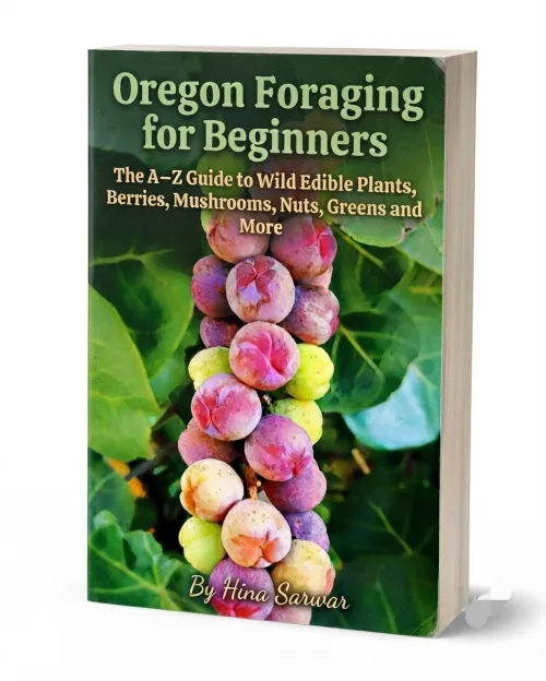 Oregon Foraging For Beginners ebook cover