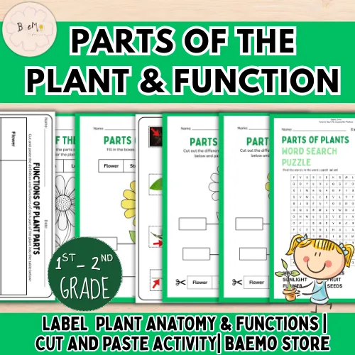 Parts of a Plant and Functions Worksheets for Kids K-2 product image