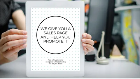 We Give You a Sales Page and Help You Promote It product image