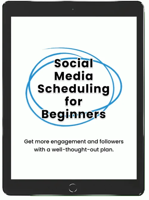 Social Media Scheduling for Beginners product image