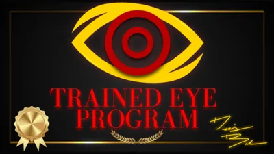 The Trained Eye Program product image