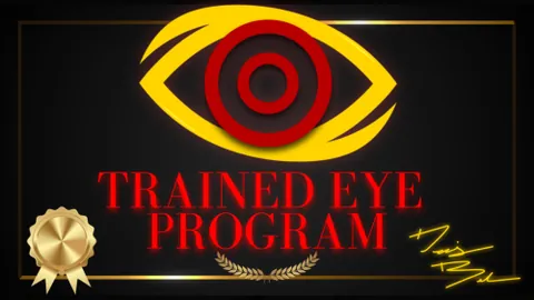 The Trained Eye Program product image